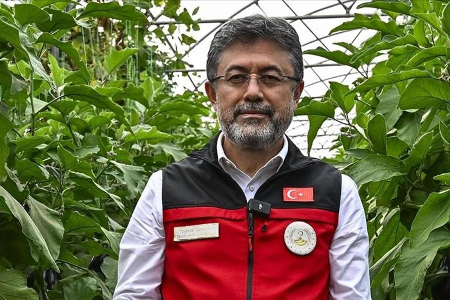 Tohum Sektöründe Dikkat Çeken Güncel Gelişme: Türkiye 2025'te Liderliği Güçlendiriyor