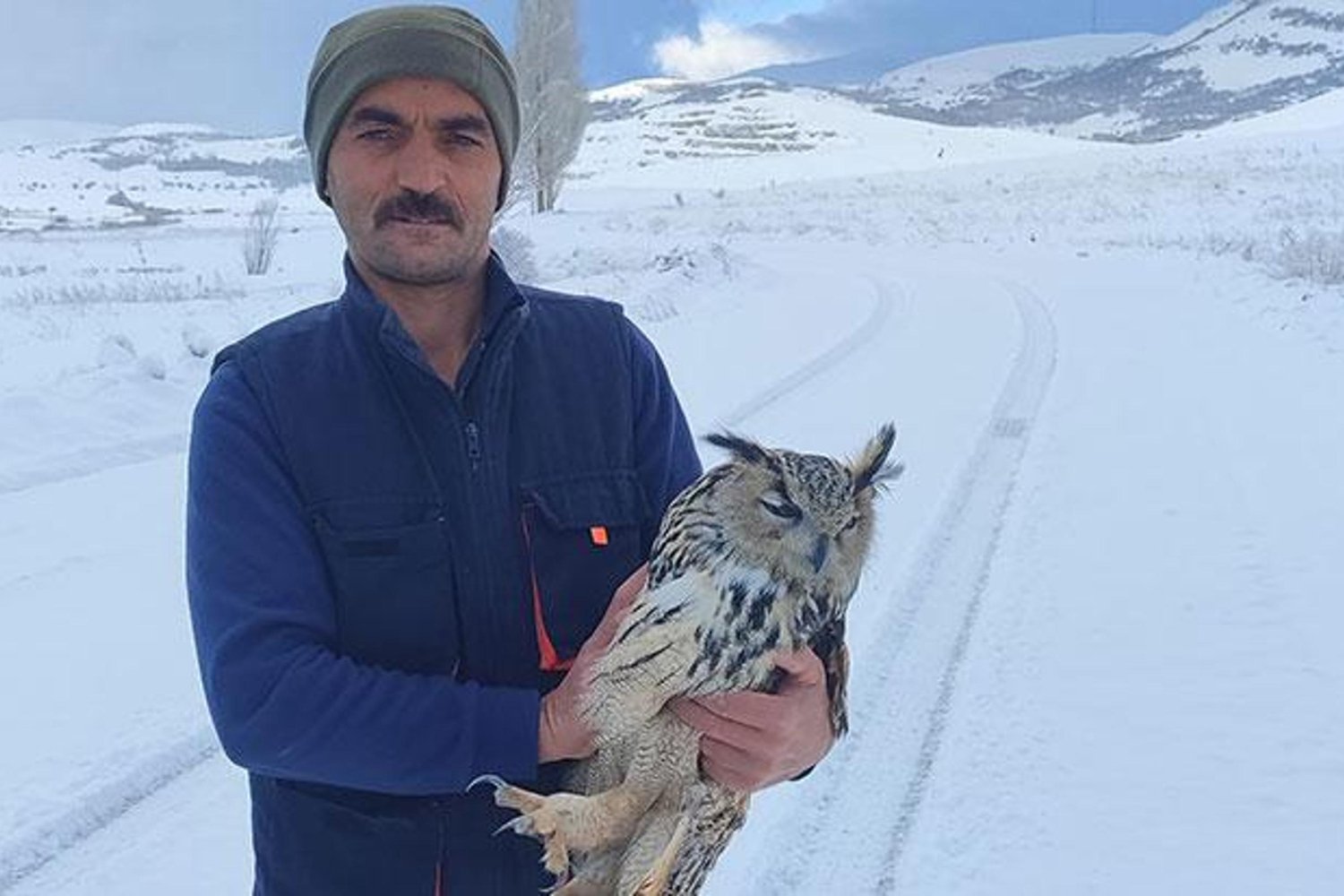 Bayburt'ta Kuduz Puhu Kurtarma Hikayesi: Hayvanın Sonu Trajik Oldu