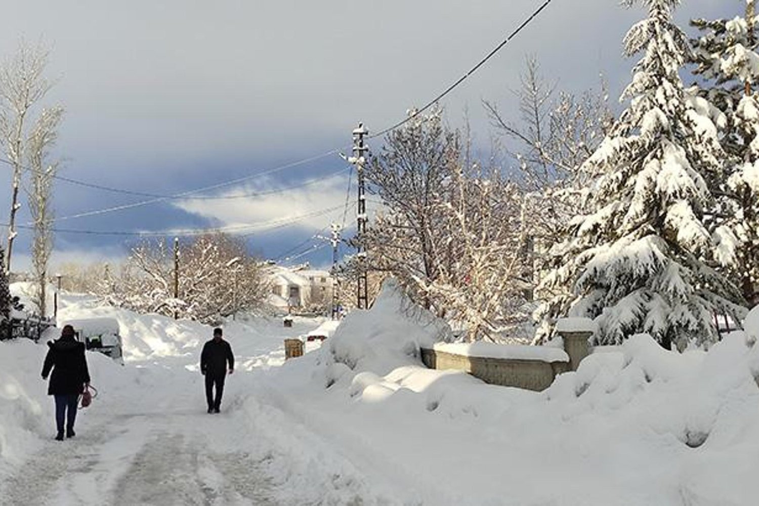Karlıova'da Yoğun Kar Yağışı Ulaşıma Kapanan Yolları Açmak İçin Seferberlik