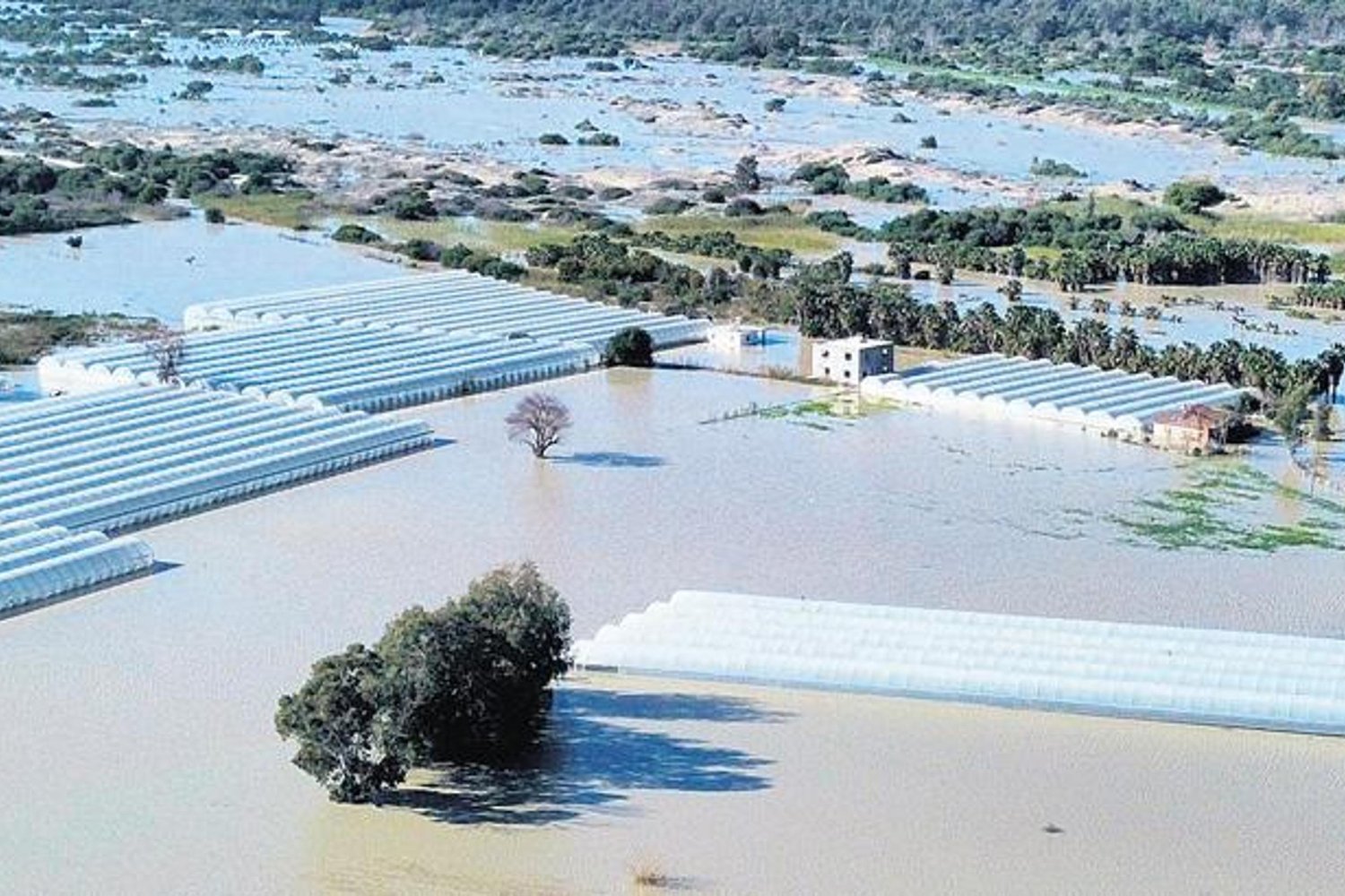 Yurt genelinde Yağışlar Artarken Sel ve Taşkın Felaketi Çıkardı!