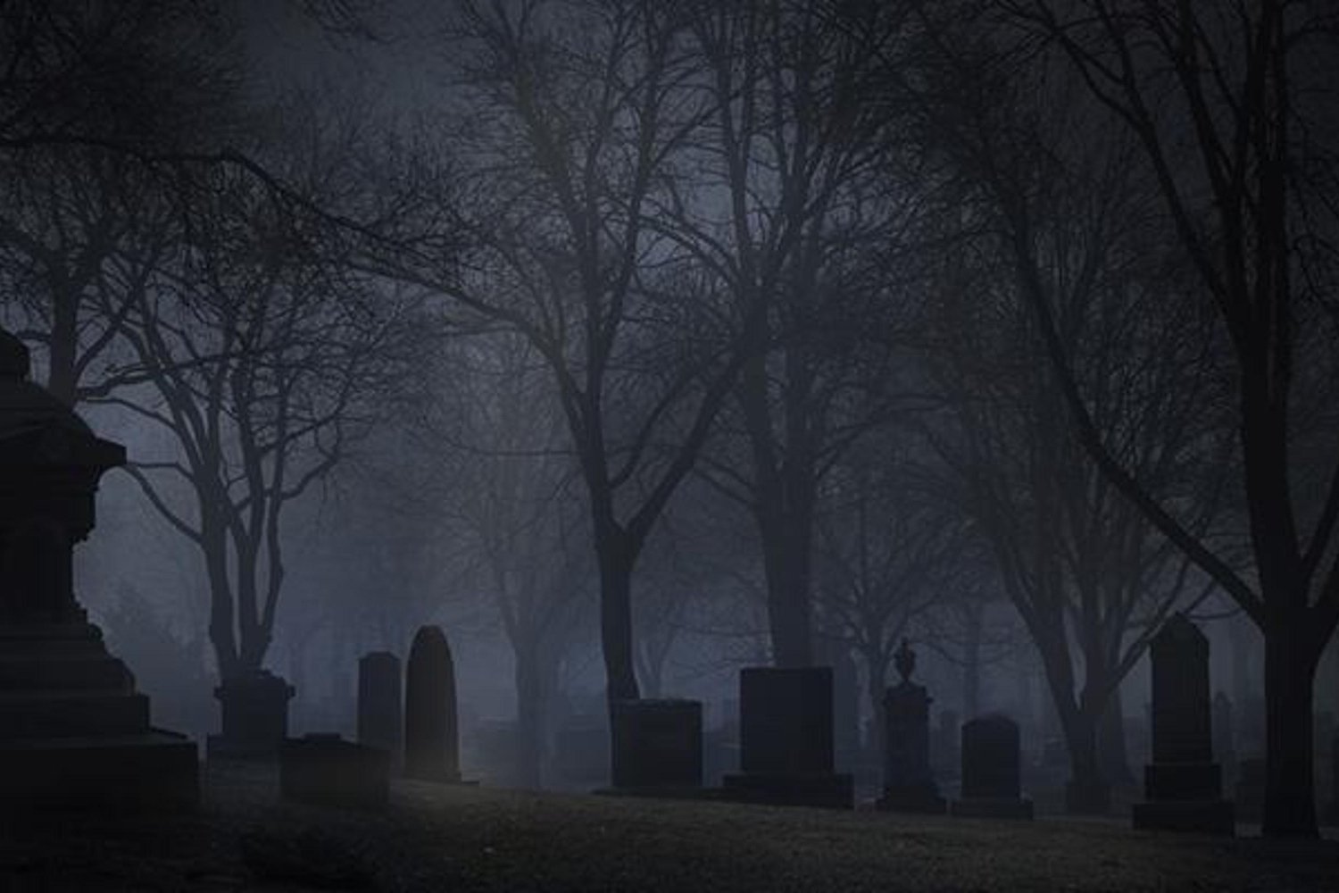 Colorado'daki 'Return to Nature' Cenazeevinde 189 Çürümüş Ceset Saklandı! Hukuk Savaşı Başladı