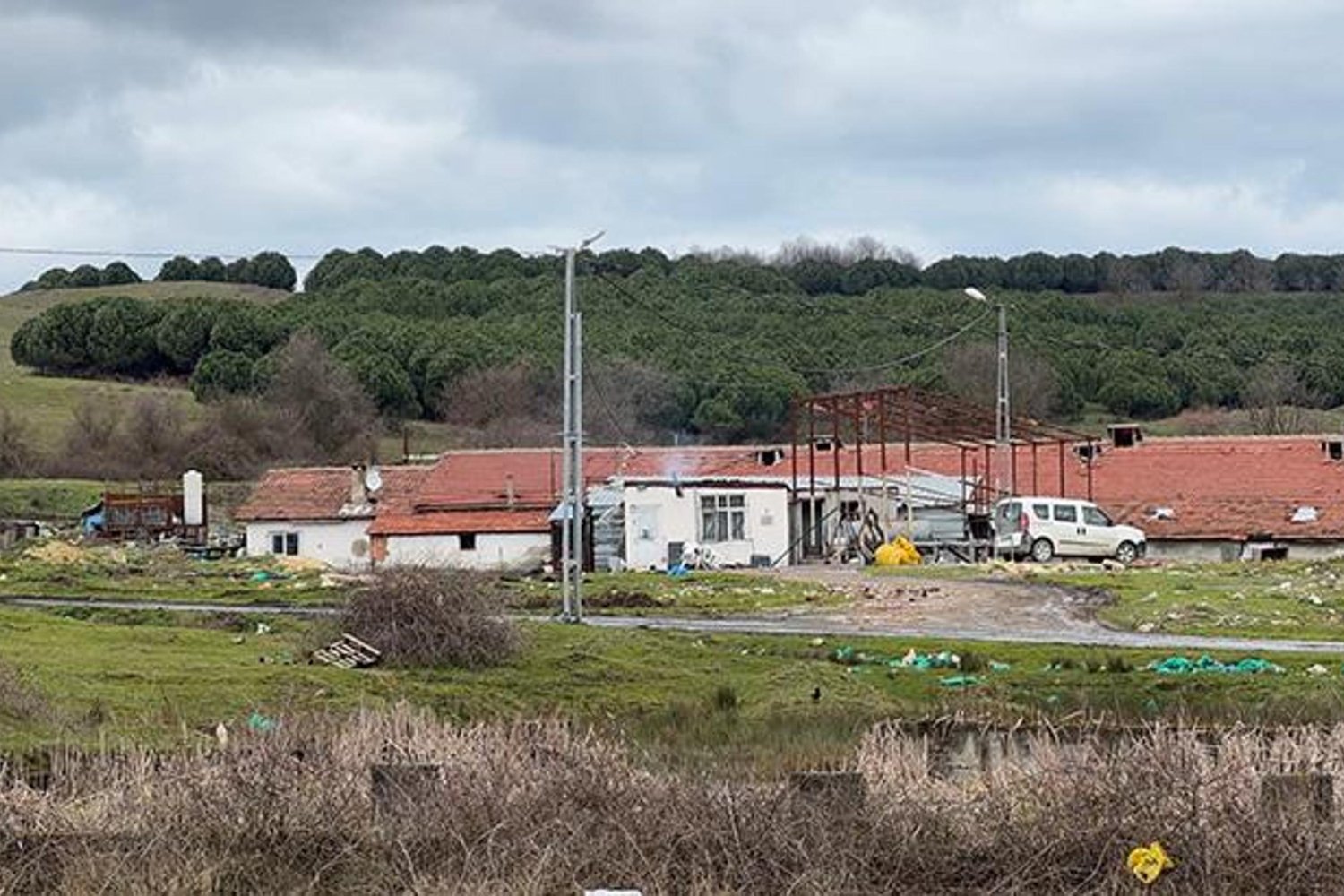 İstanbul'da Elektrikli Testereyle Salgın: Çiftlikte Gerilim