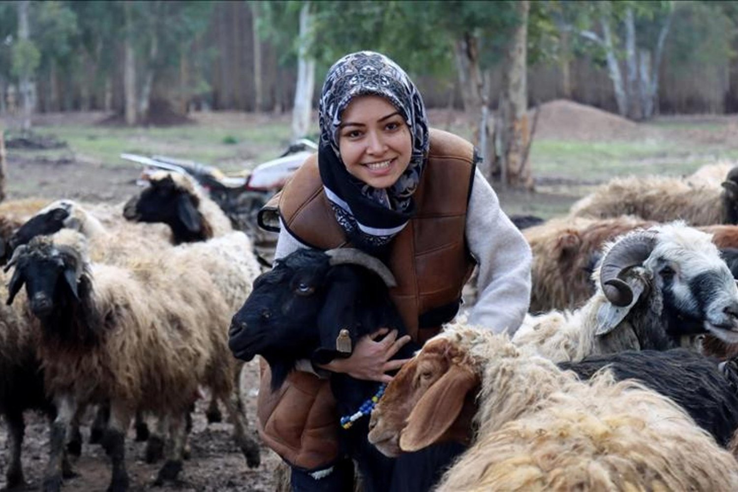 Deprem Sonrası Hayvancılığı Ayakta Tutan Genç Kadın: Ülgü'nün Hikayesi