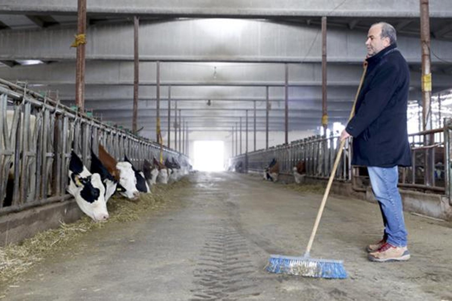 Deprem Sonrası Muazzam Zarar ve Devlet Desteğiyle Hayvanlar Yeniden Kazanıyor