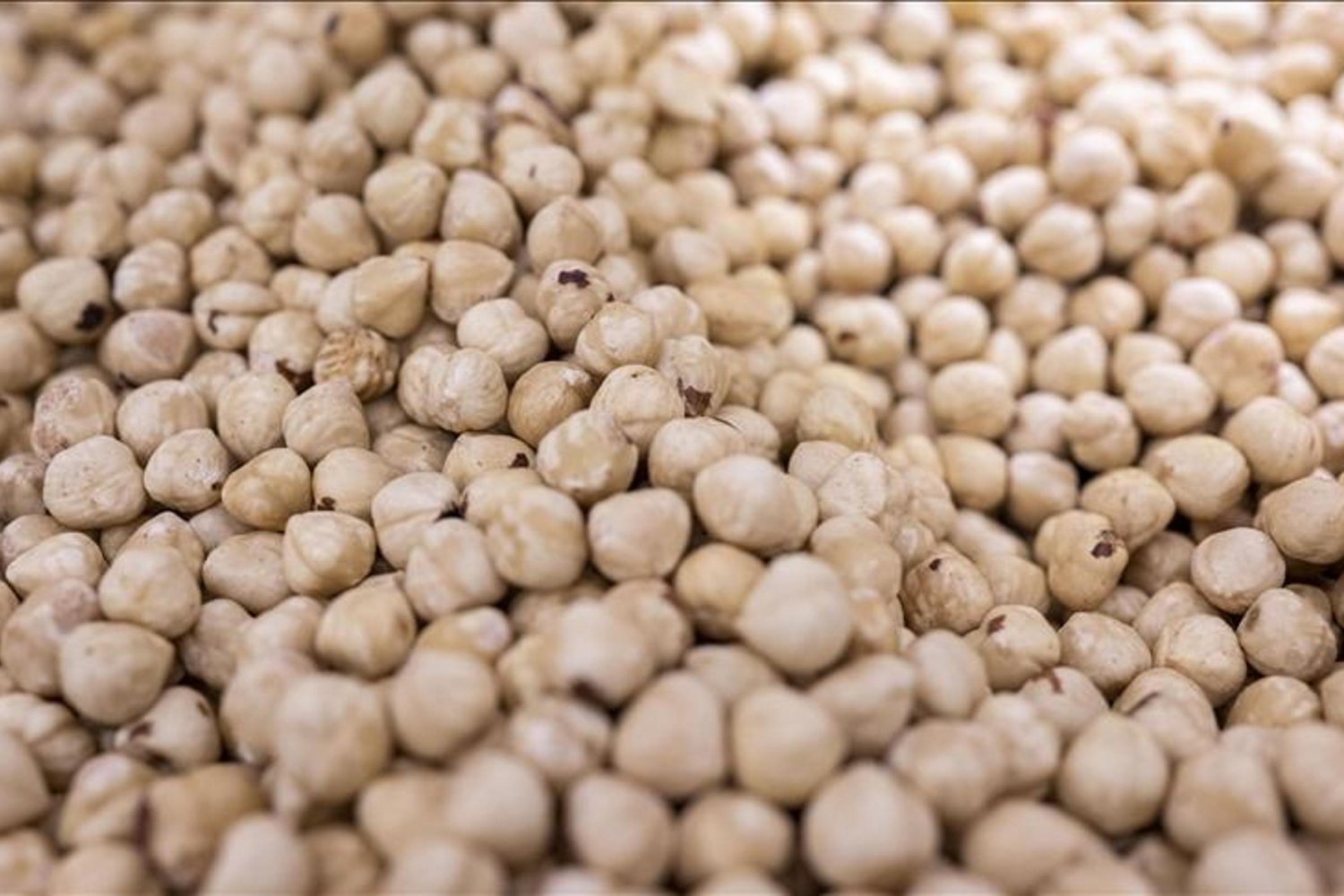 Doğu Karadeniz İhracatı Yılın İlk Ayında Rekor Kırdı Ülkeler Bazında Görünüm