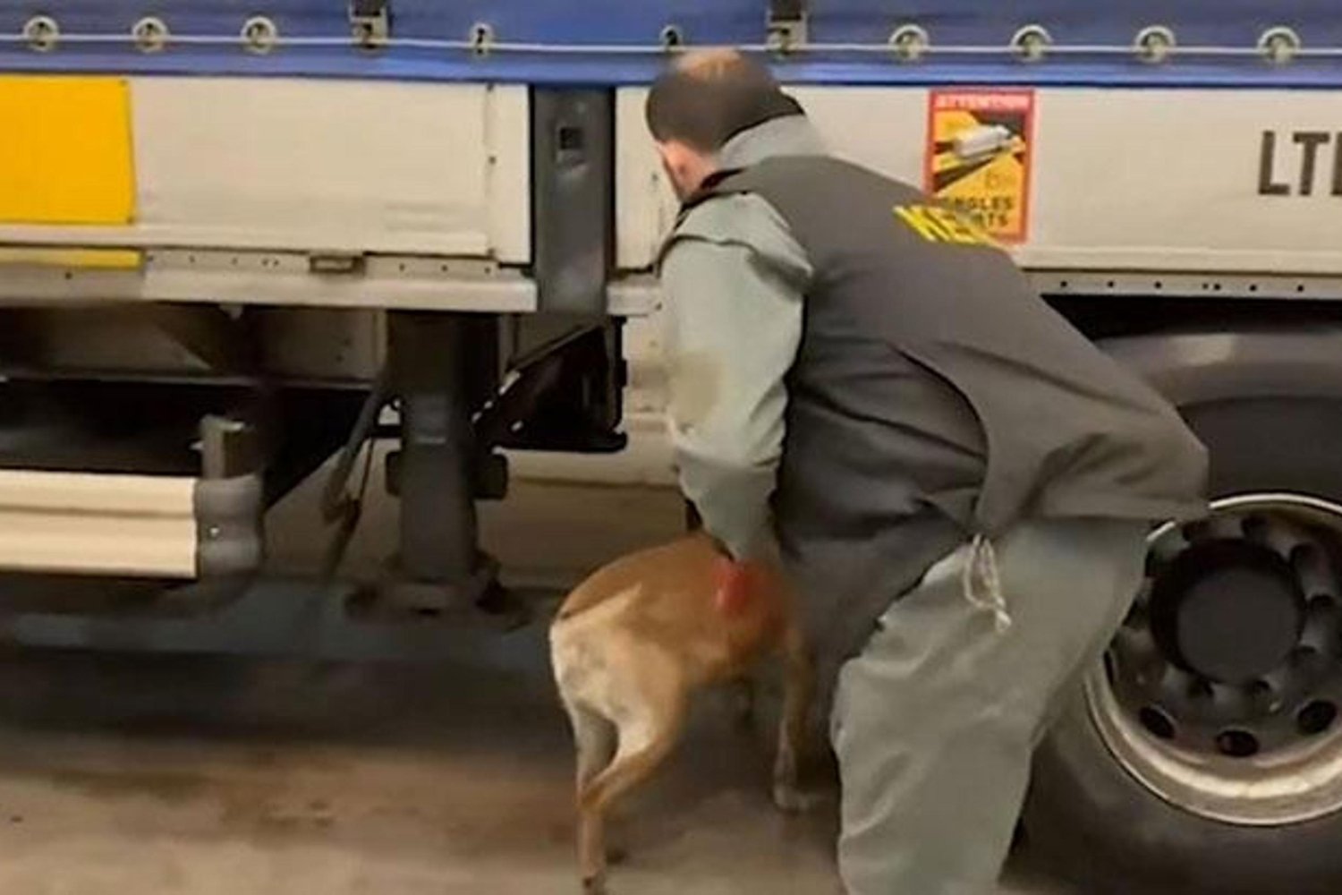 Edirne'de 240 Kg Skunk Ele Geçirildi!Uyuşturucu Ticareti Çözüldü