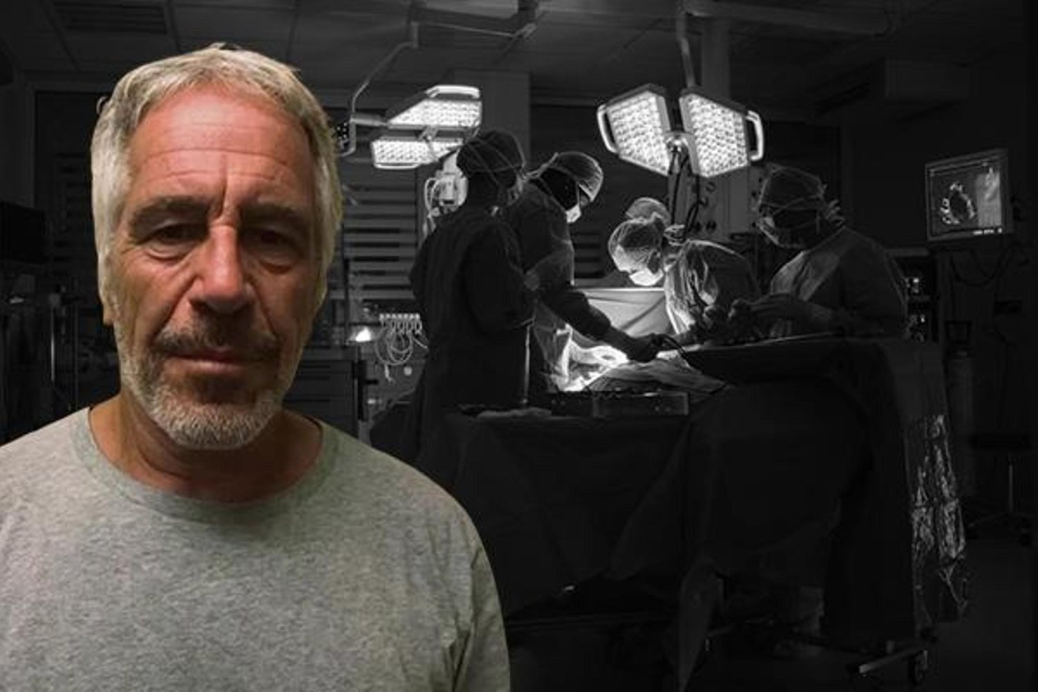 Jeffrey Epstein'le Gizli Görüşmeler ve Yüz Nakli Uzmanı İddiaları