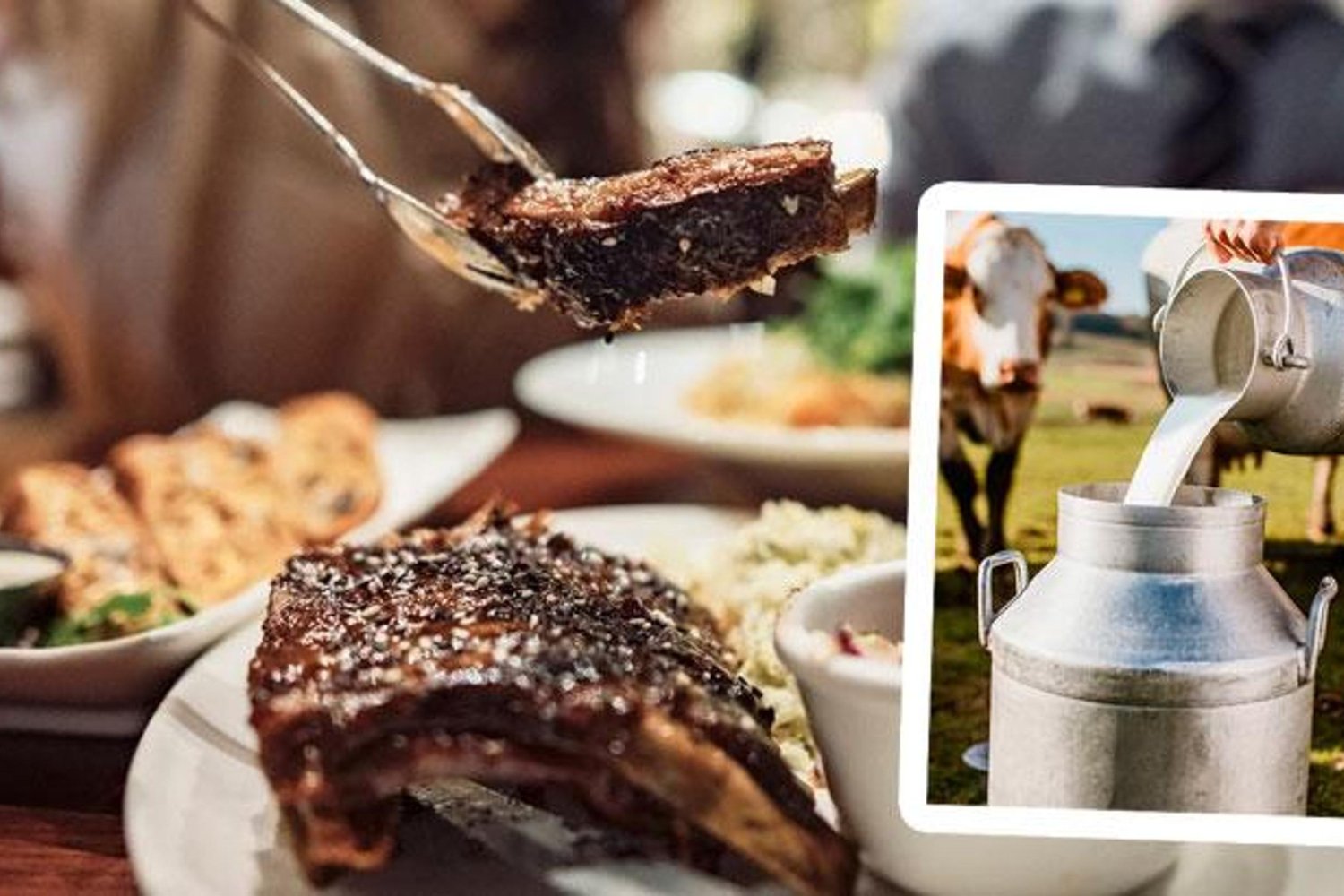 Gıda Güvenliği ve Denetimlerde Yeni Dönem Başlıyor