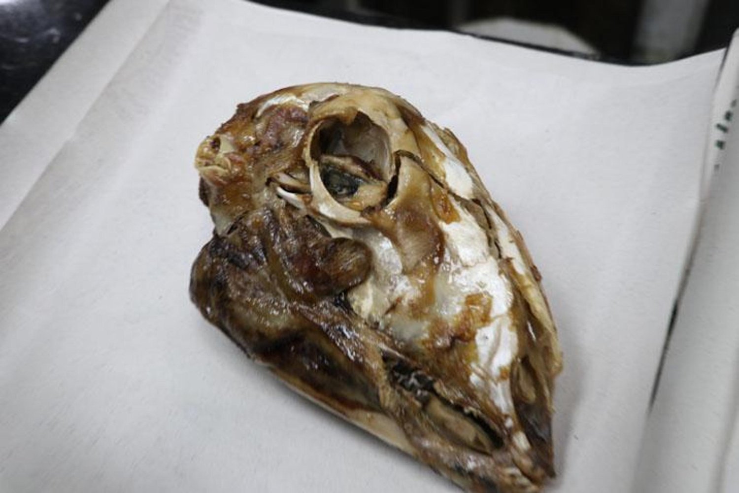 Gözünün Yağını Yiyeyim Hikayesi: Anadolu’nun Lezzetli ve Sıcak Deyimi