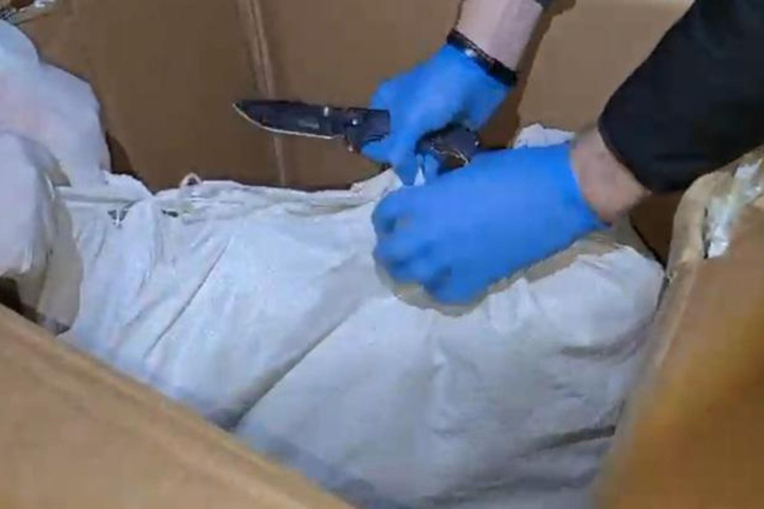 Hatay'da Uyuşturucu Operasyonu: 11 Kilo Skunk Ele Geçirildi, 4 Gözaltı