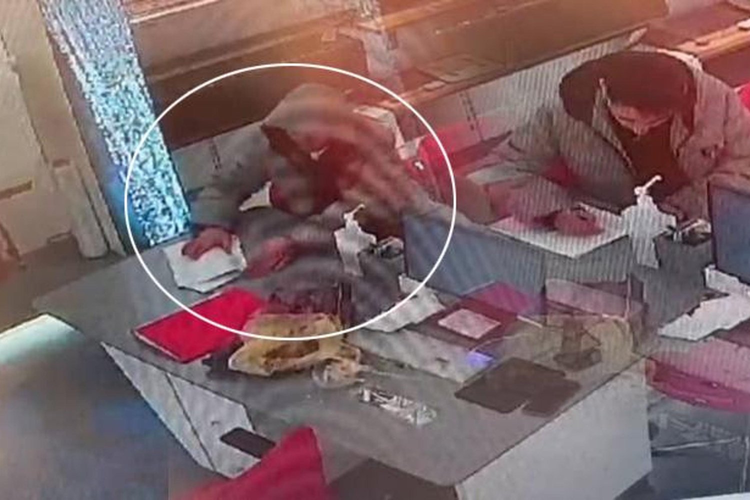 İş Başvurusu Sırasında Çalınan Telefon Güvenlik Kamerasında Şok Edici Anlar