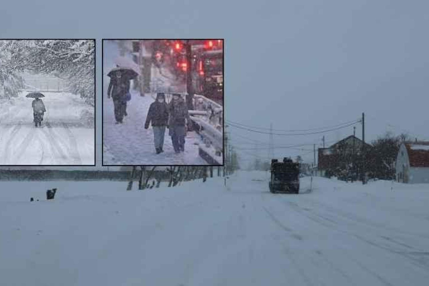 Japonya'da Şiddetli Kar Yağışı Can Kaybını 30'a Yükseltti: Seferberlik İlan Edildi