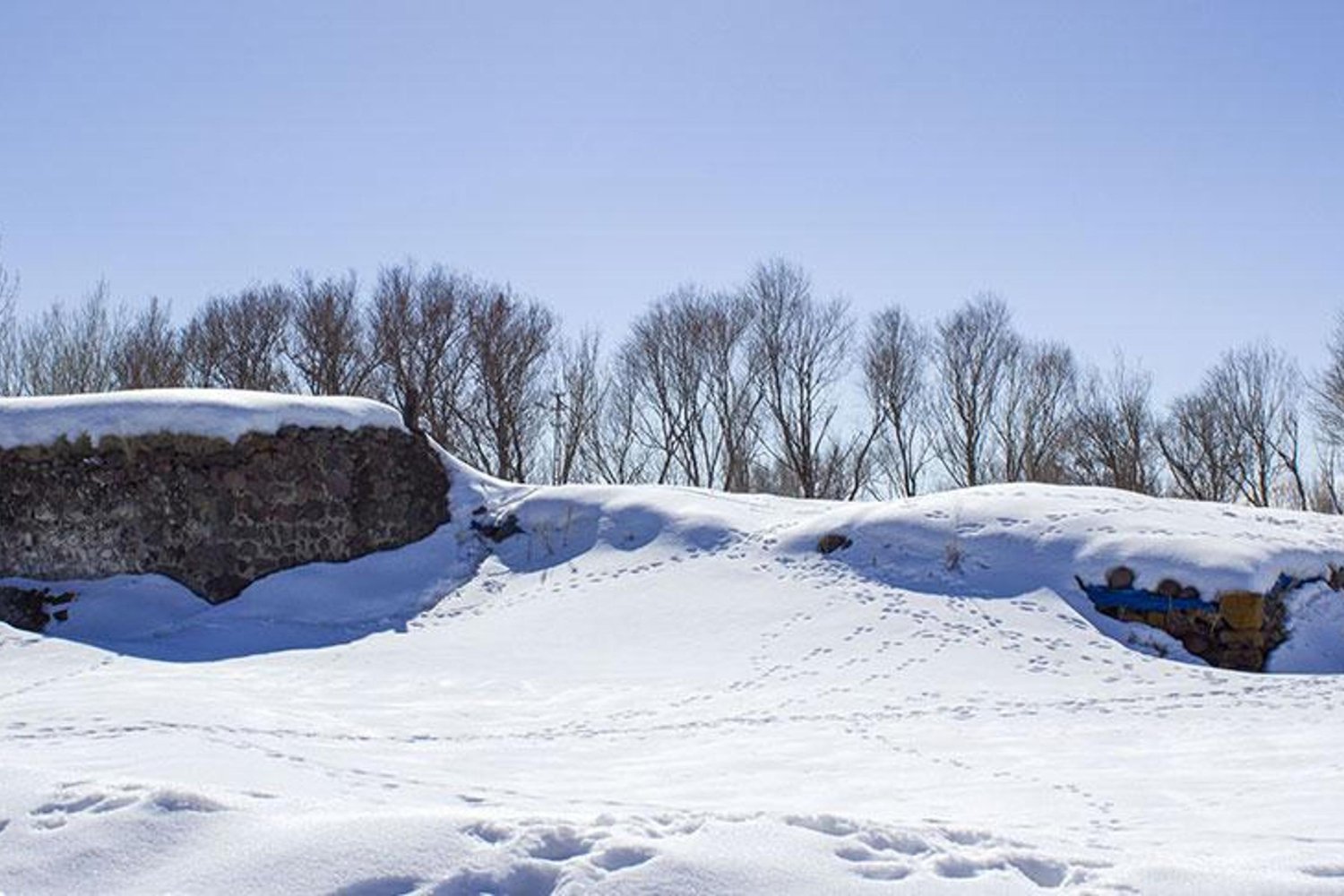 Türkiye'de Kış Etkisi Sürüyor: Bolu Dağı ve Birçok İl Kar ve Sisle Kaplandı