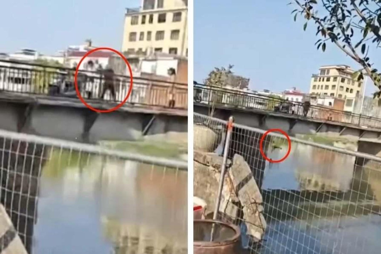 Korkunç Olaya Tanık Olduk: Çin’de Babanın Çocuklarını Nehre Attığı Anlar Güvenlik Kamerasında