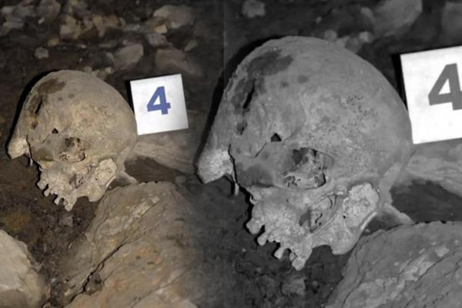 Zonguldak'ta İnsan Kemikleri Şoku: 2008 Kaybolan Adamın Kemikleri 2010'da Bulundu