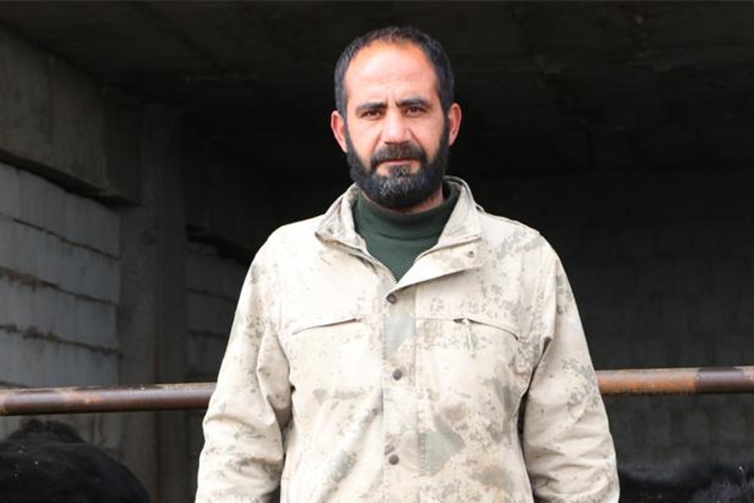 Hayvancılığa Devlet Desteğiyle Başlayan Kurt'un Başarı Hikayesi