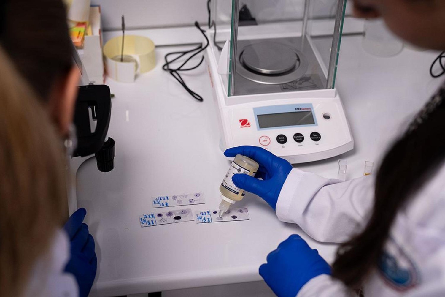 Kişiye Özel Probiyotikler Sağlıkta Devrim Yaratıyor