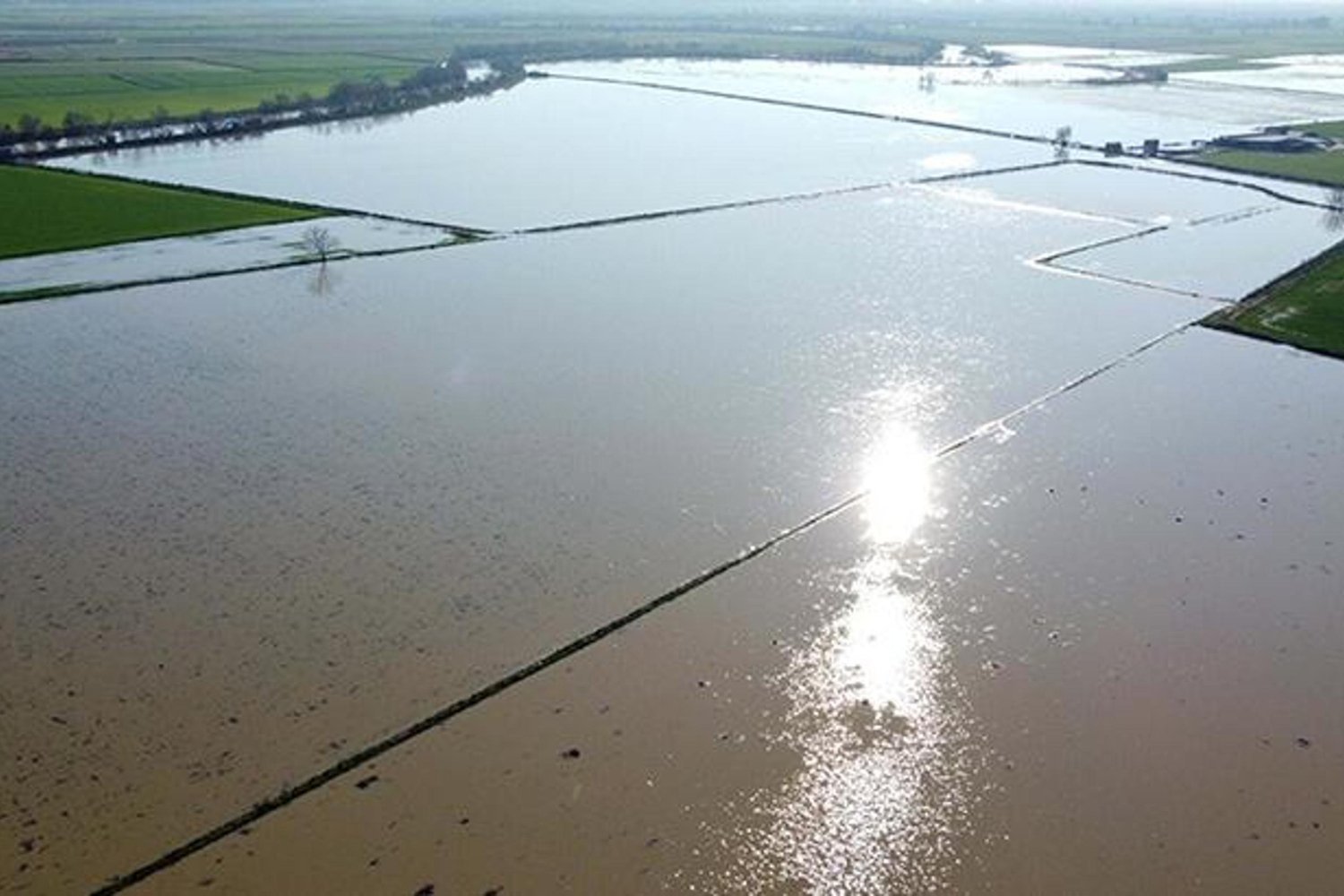 Aydın’da Yağışlar Taşkına Neden Oldu: Bölgede Arazilere Büyük Zarar