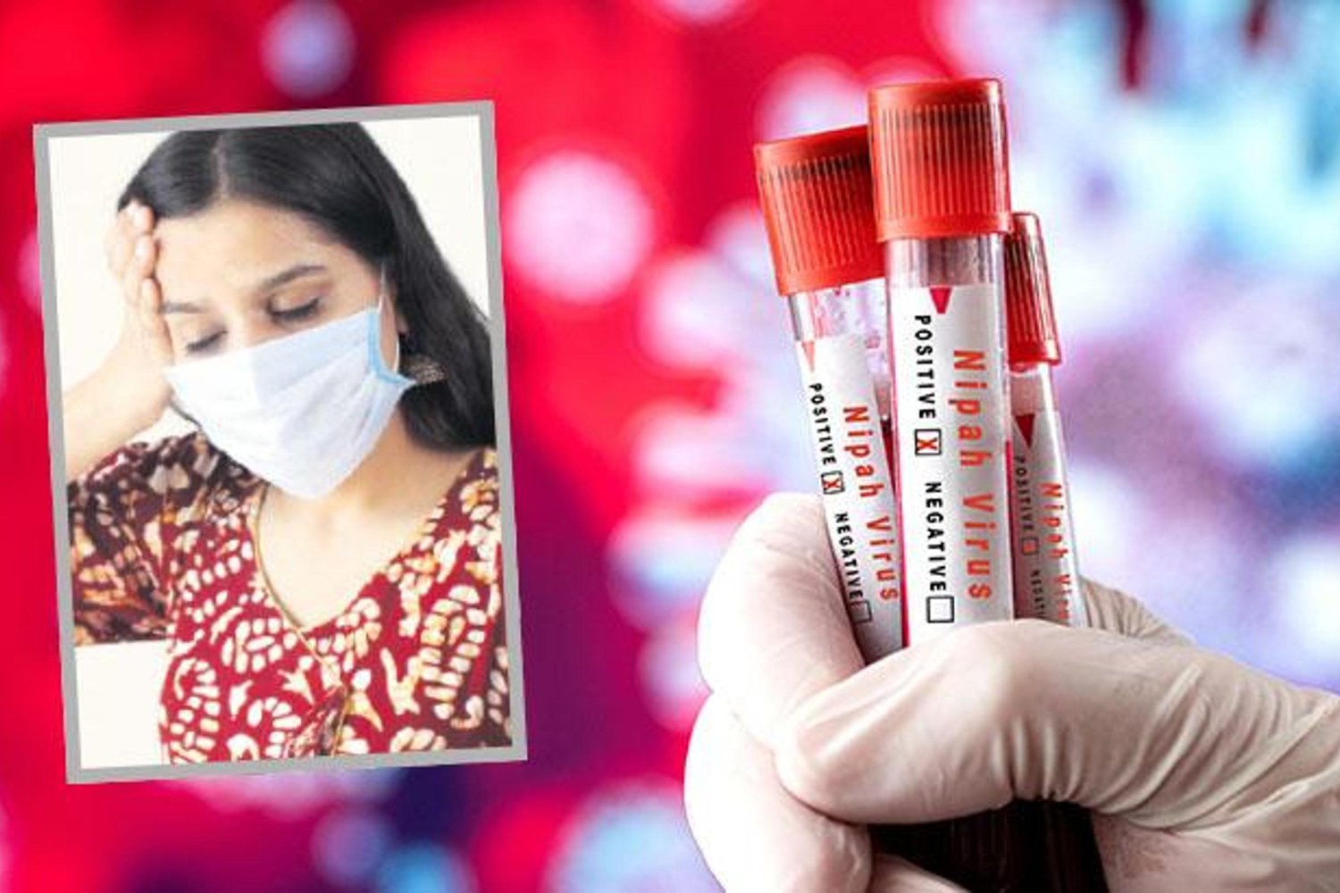 Nipah Virüsü Alarmı! Hindistan ve Asya'da Yayılma Korkusu Artıyor