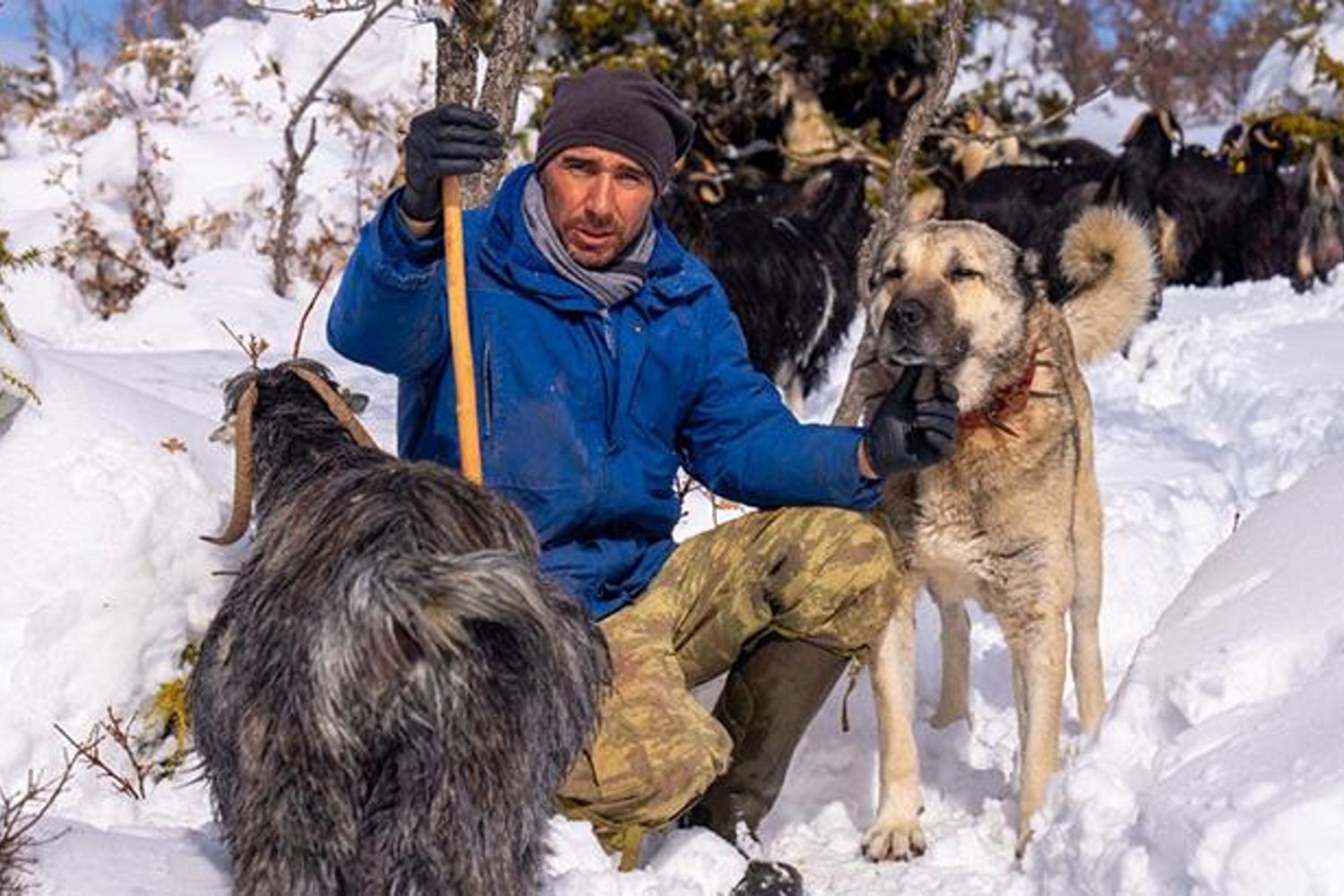 Hayvan Severler Dikkat: Köpeği Vurulan Çiftin Adalet Çığlığı