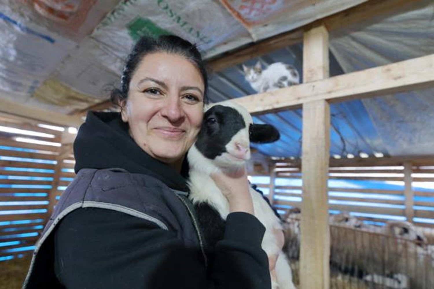 Kadın Girişimci Dağlı'nın Hayvancılık Başarı Hikayesi: Köyde Yeni Bir Hayat