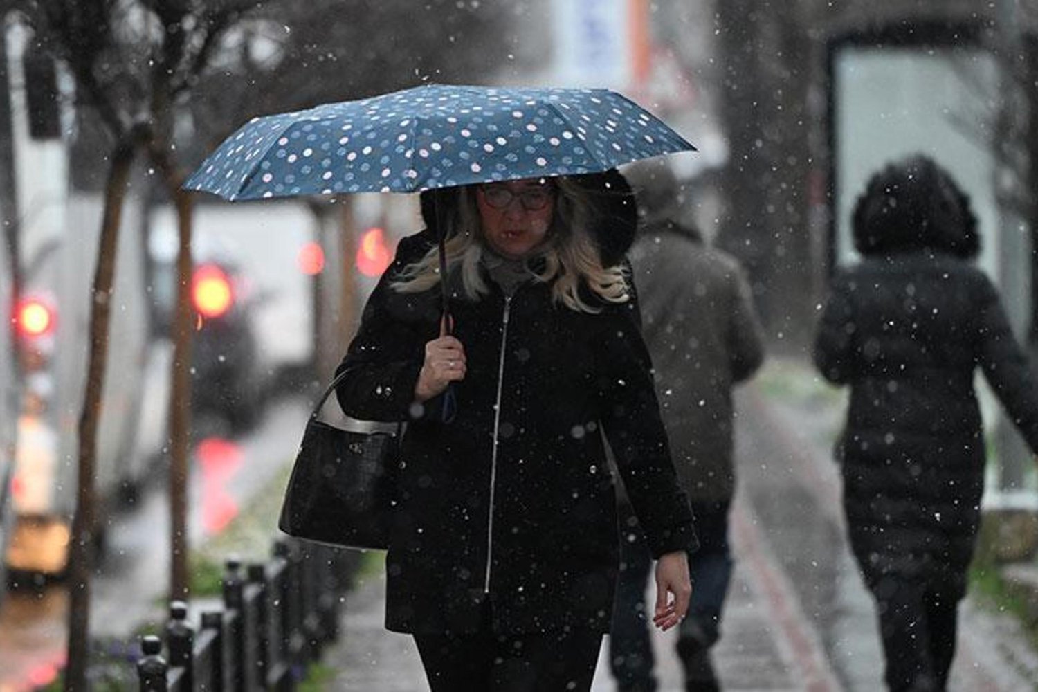 Kar Yağışı Tarımı Canlandırdı! Uzmanlar ve Çiftçiler Ne Diyor?