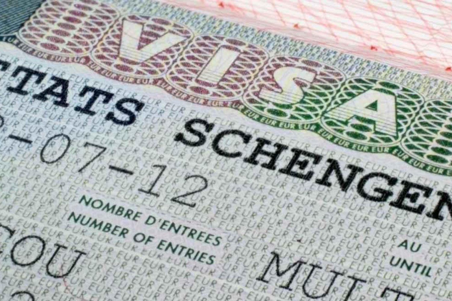 AB Vize Politikası Değişiyor: Uzun Süreli Kalışlar ve Meslek Gruplarında Esneklik