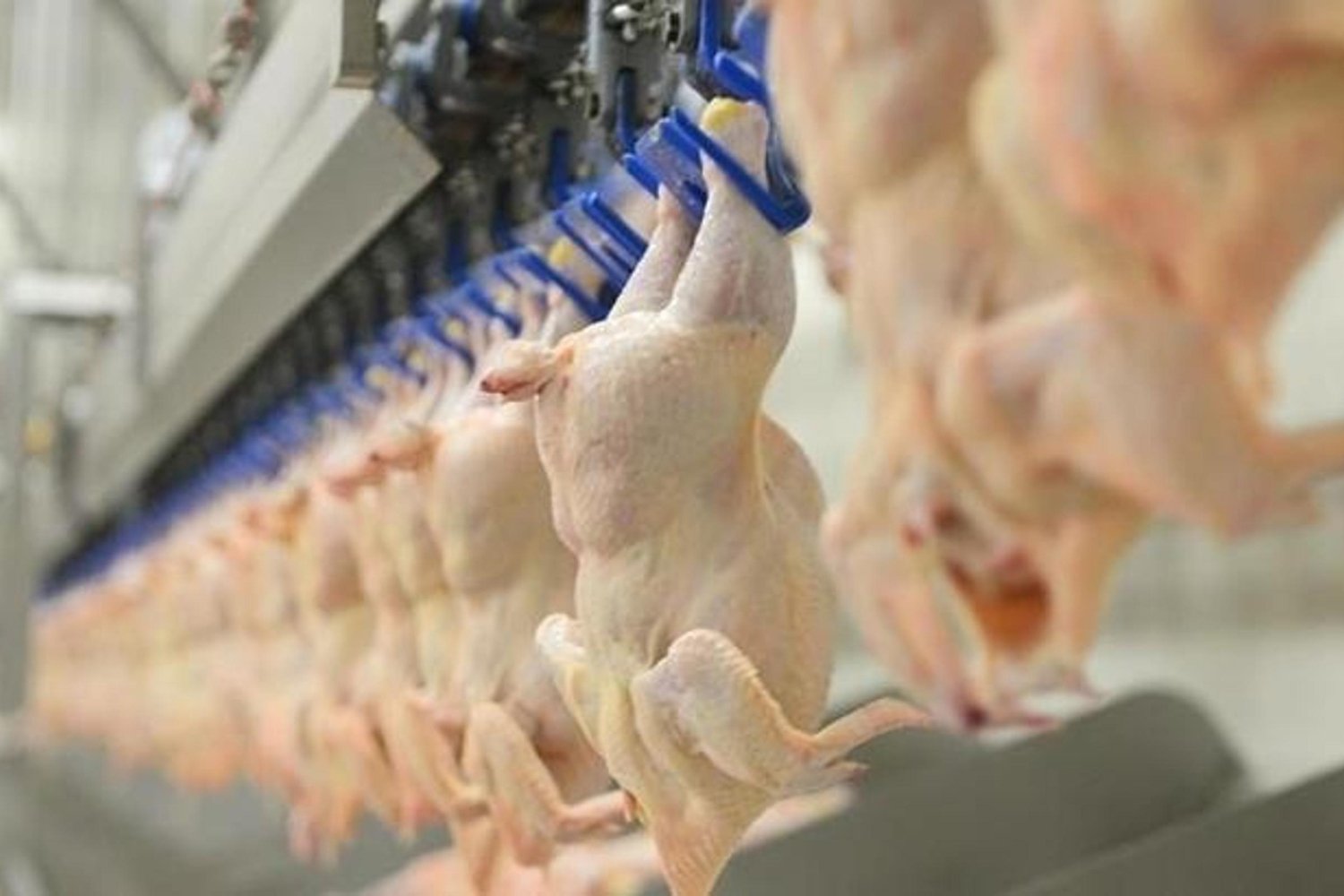 Ünlü İsim Şaşırtan Bir İle Aşkını ilan Etti