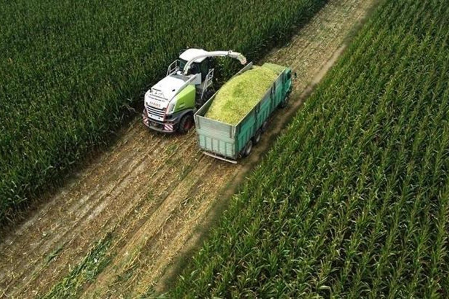 Tarım ÜFE Artışı Şaşırtıcı Derecede Yüksek! İşte Detaylar