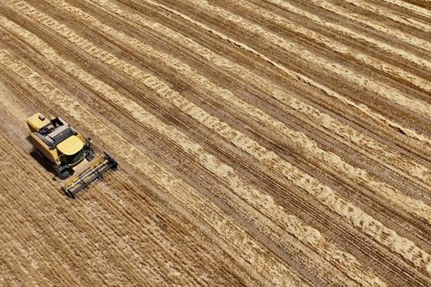 Hazine Destekli Kredi Güncellemeleriyle Tarım ve Esnafa Yeni Fırsatlar