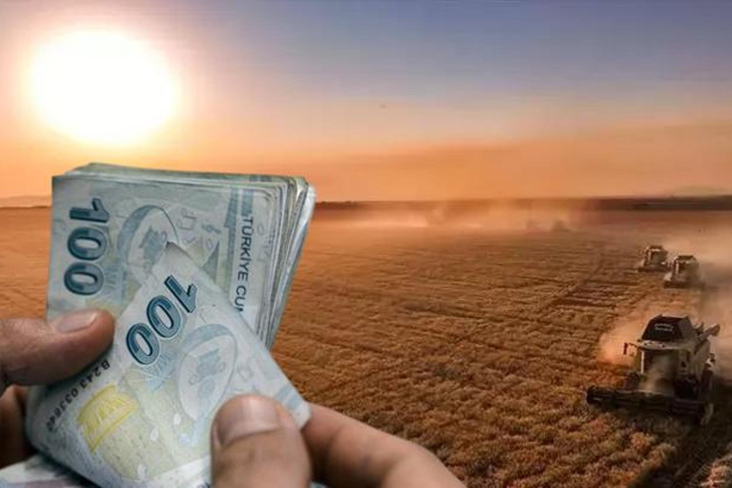 Tarım Destekleri Yatırımcı Çiftçilere Bugün Aktarılıyor! Sağlam Destekle Çiftlikler Büyüyor