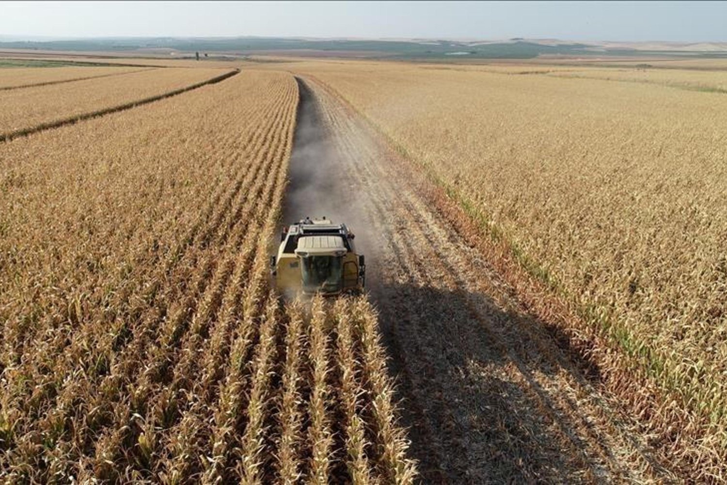 Tarım Destekleriyle Kırsal Kalkınma Artıyor! 114 Milyon Lira Hibe Dağıtıldı