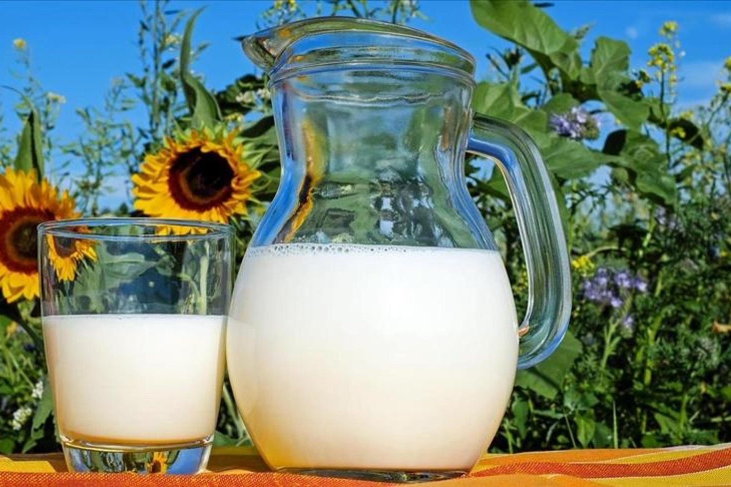 Süt ve Süt Ürünleri Üretim Verilerinde Güncel Dalgalanma: Azalma ve Artışlar Dikkat Çekiyor