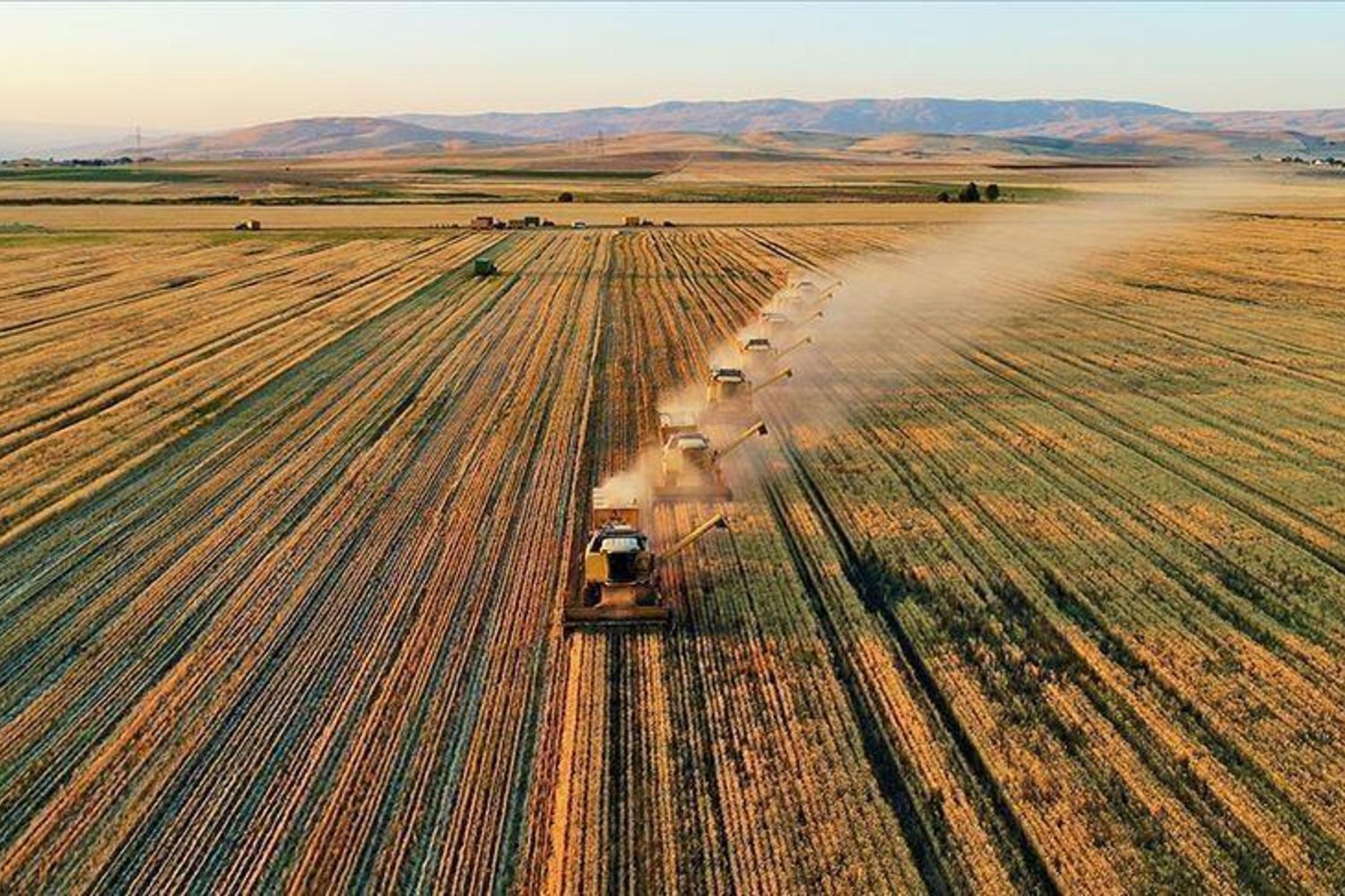 Tarımsal Girdi Fiyat Endeksi Aralık 2025 Değişimleri Paylaşıldı