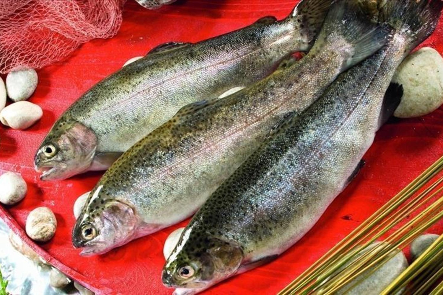 Türk Somonu İhracatı Ocakta %39 Artış Gösterdi