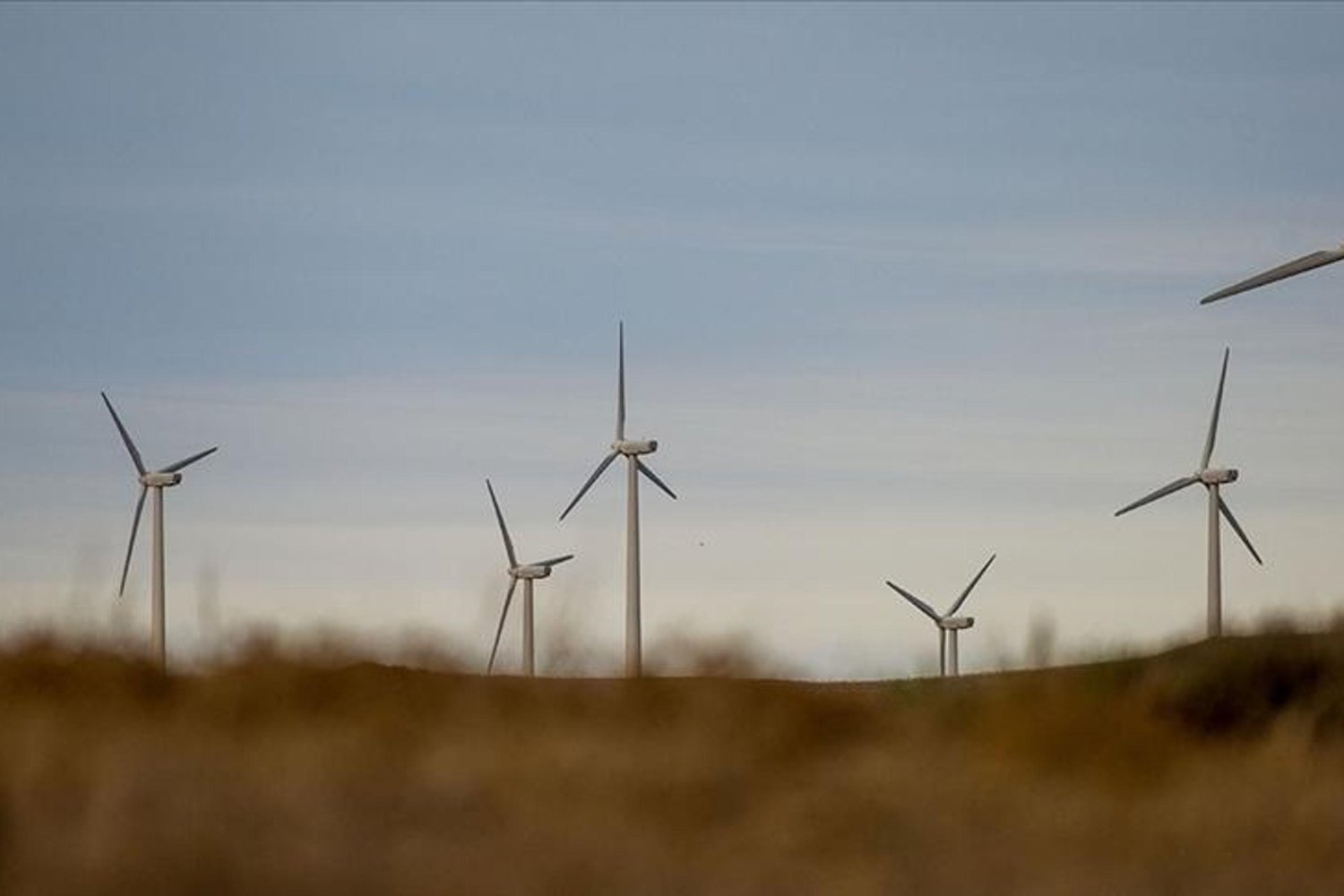 Türkiye Rüzgar Gücü Hedefleriyle Yenilenebilir Enerjide Büyük Adımlar Atıyor