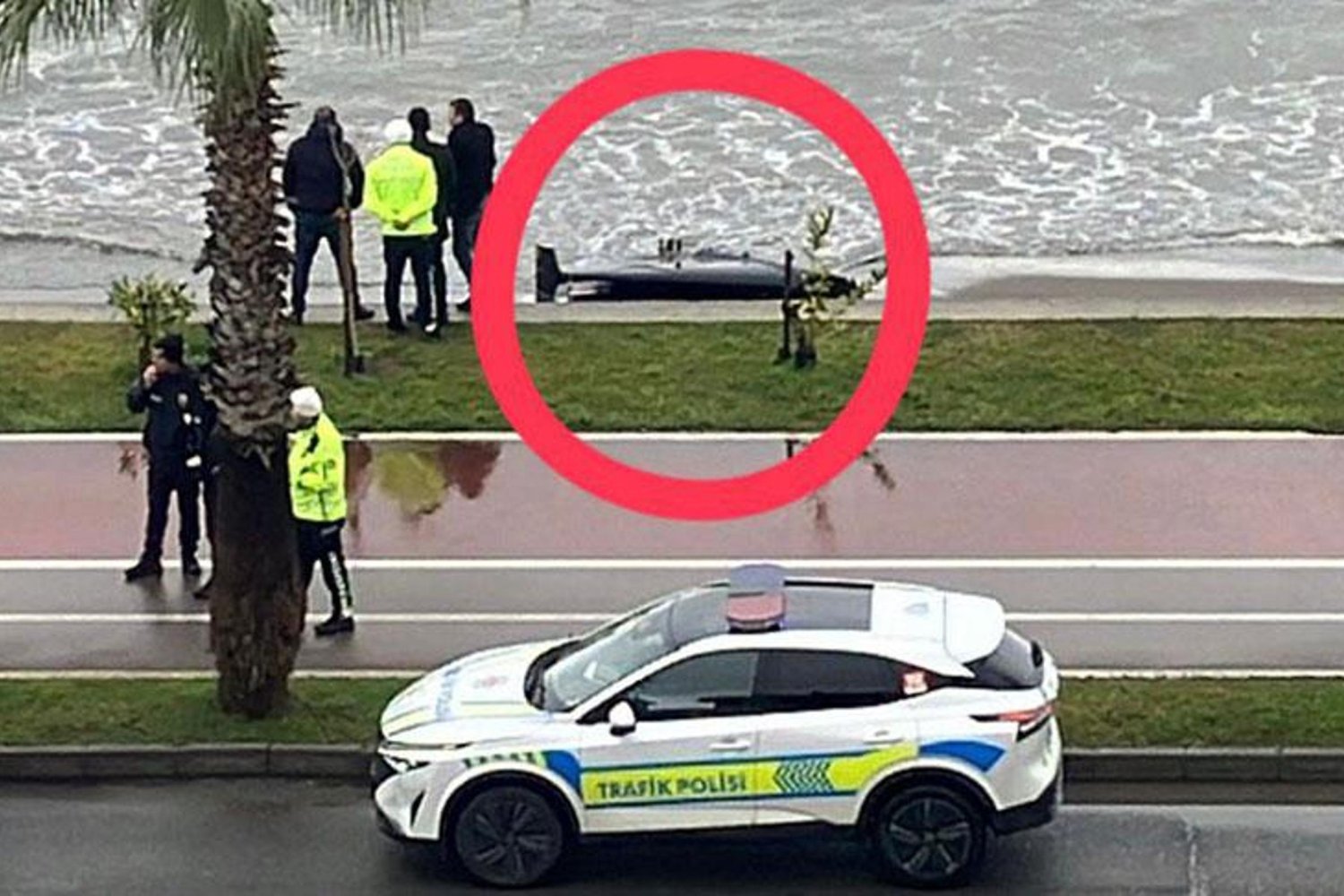 İstanbul'da Kıyıya Vuran Görünmeyen Tehlike: İnsansız Hava Aracı Parçası Çıktı