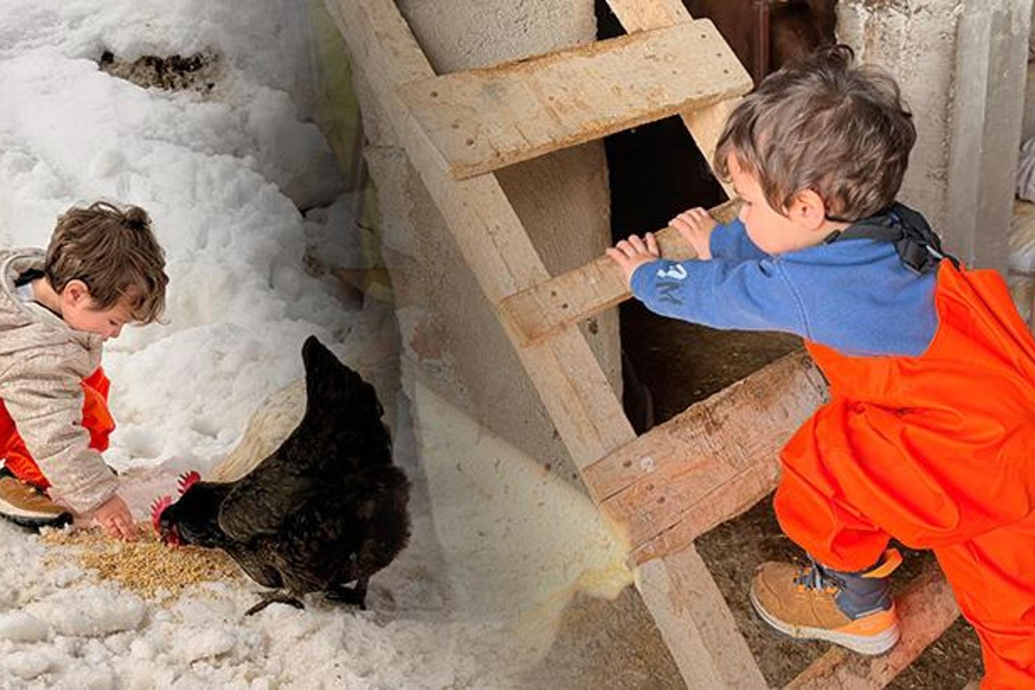 Köyde Doğal Yaşam ve Çiftçilikle Büyüyen Güneş'in Hikayesi