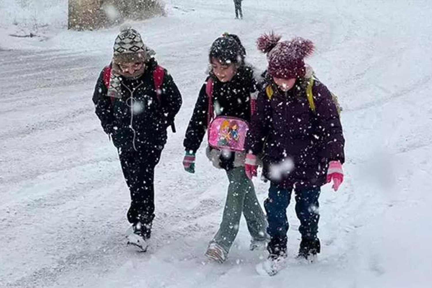 Eğitime Ara Veren Van İlçeleri: Kar ve Sis Zirai Etkiliyor
