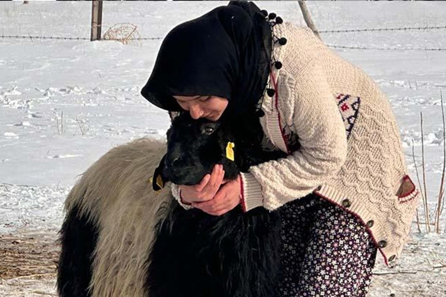 Van'da 17 Yaşındaki Genç Kızın Anneleri Ölen Koyuna Sıcak Yaklaşımı İnsanların Kalbini Isıtıyor