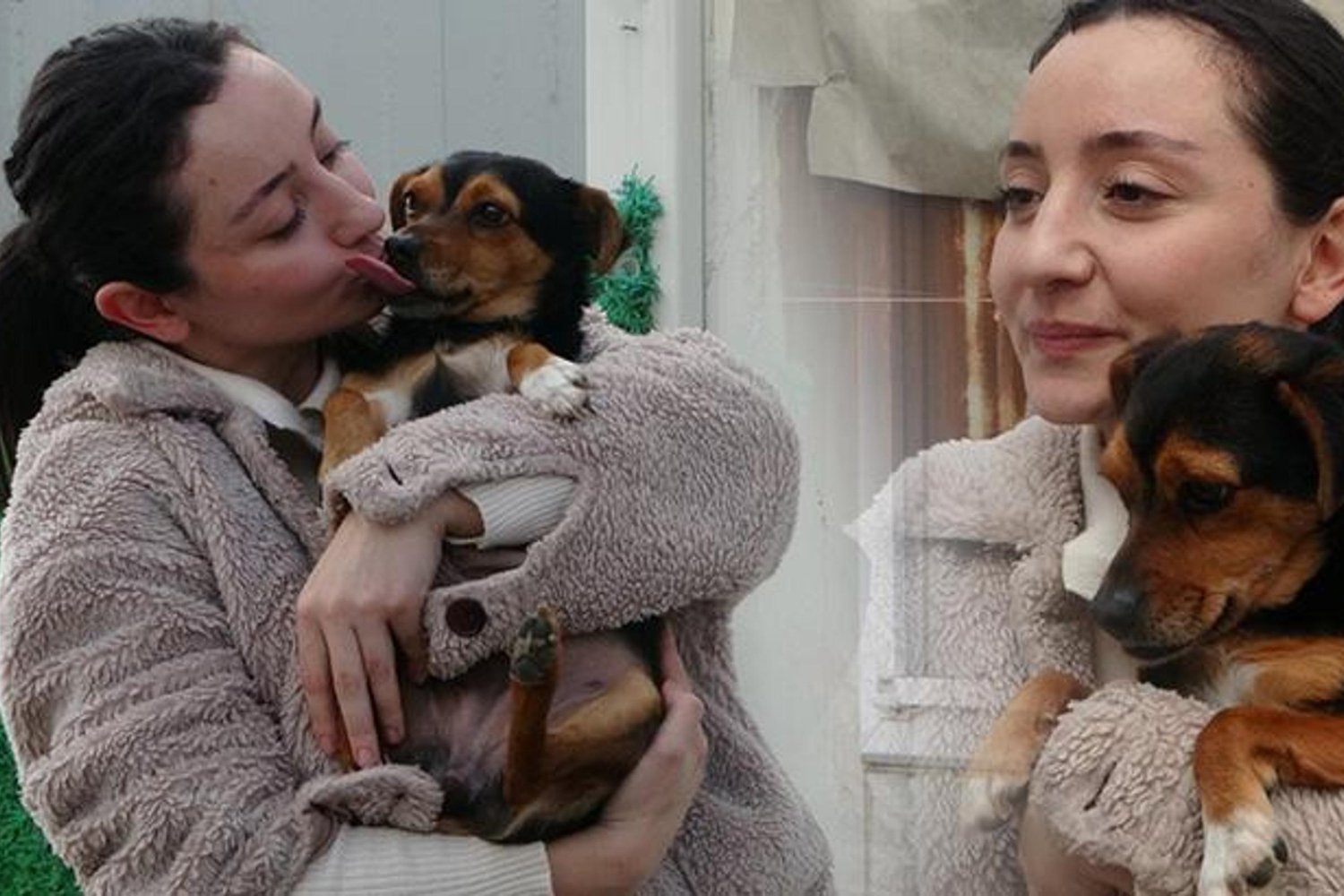 Depremin Üçüncü Yılında Sokak Hayvanlarının Umudu Boncuk ve Sahibi Fatma Arat