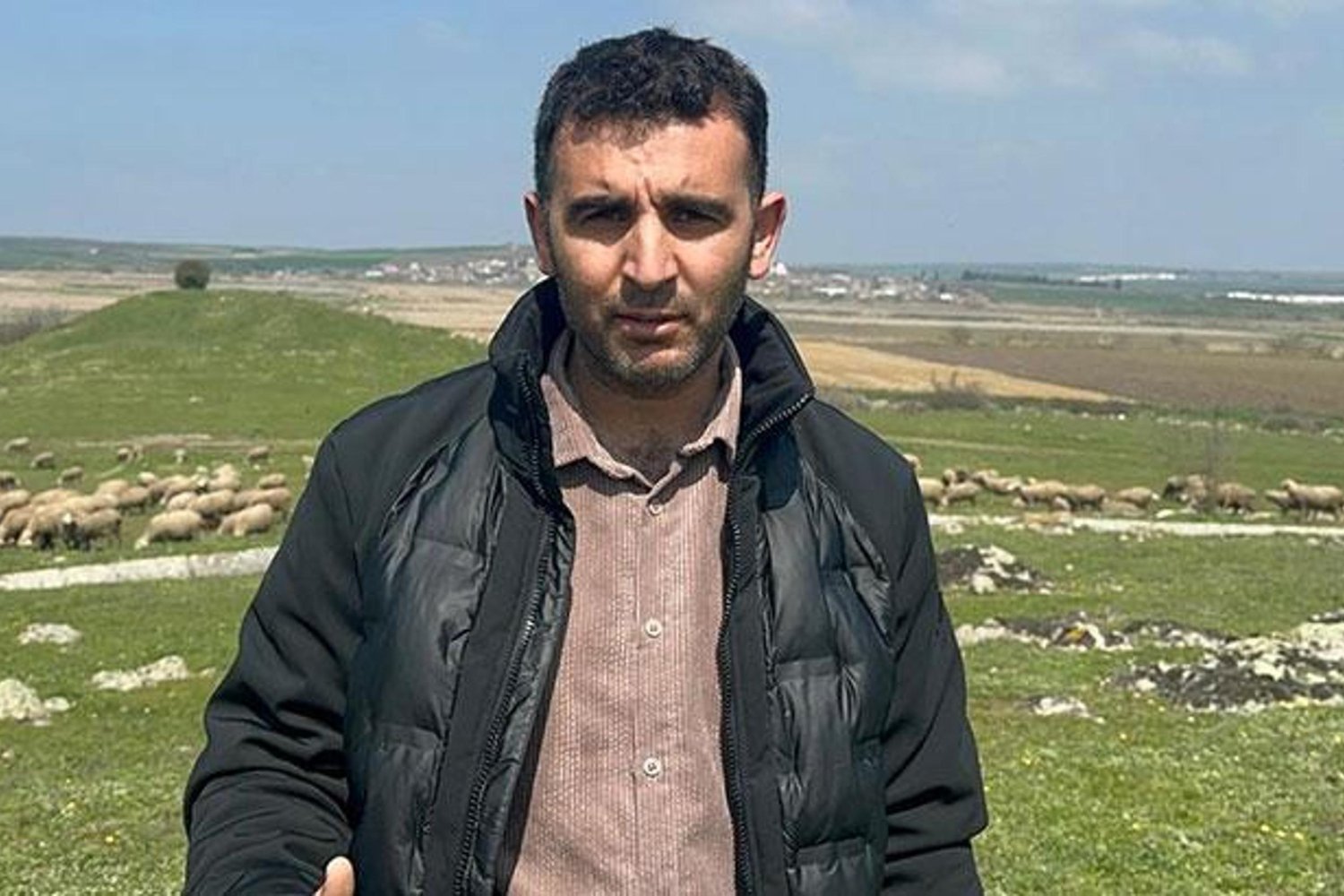 Balıkesir'de Merinos Koçu Büyük Talep! 150 Talep Gün İçinde Toplandı