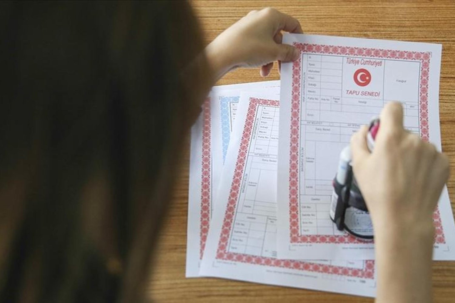 Orman Kadastrosu ve Tapu Problemleri Sonuçlanıyor: Yeni Düzenlemelerle Kaynaklar Korunacak