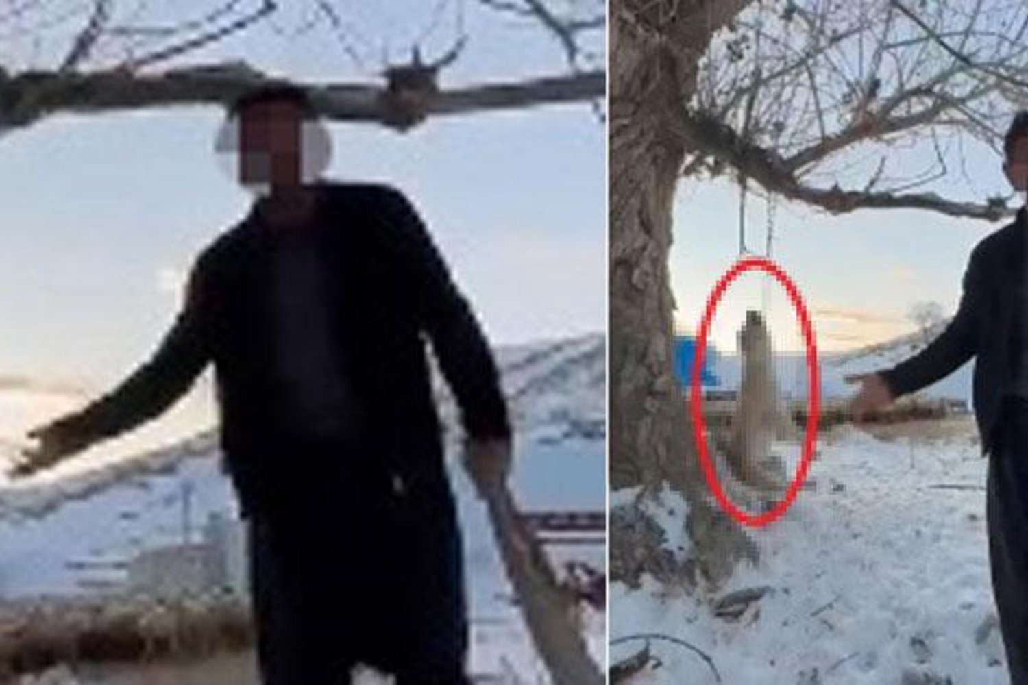 Köpeği Ağaçta Asan Şüpheliye Büyük Tepki: Çocuklar ve Hayvanlar Koruma Altında