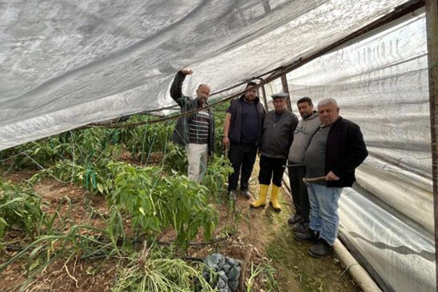 Kumluca Hortumu Seralara Büyük Hasar Verdi: Çiftçiler Zor Günler Yaşıyor