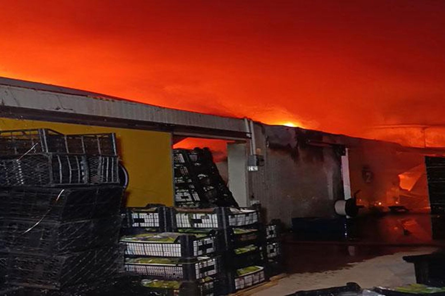 Yangın Tatlı Mücadeleyle Kontrol Altına Alındı: Muz İşletmesinde Çıkan Yangın Korkuttu