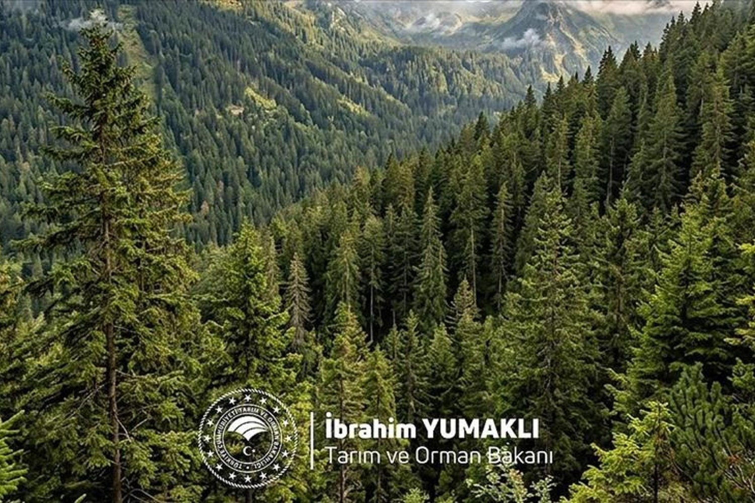 Dünya Ormancılık Günü: Türkiye'yi Daha Yeşil Yapmak İçin Çalışıyoruz