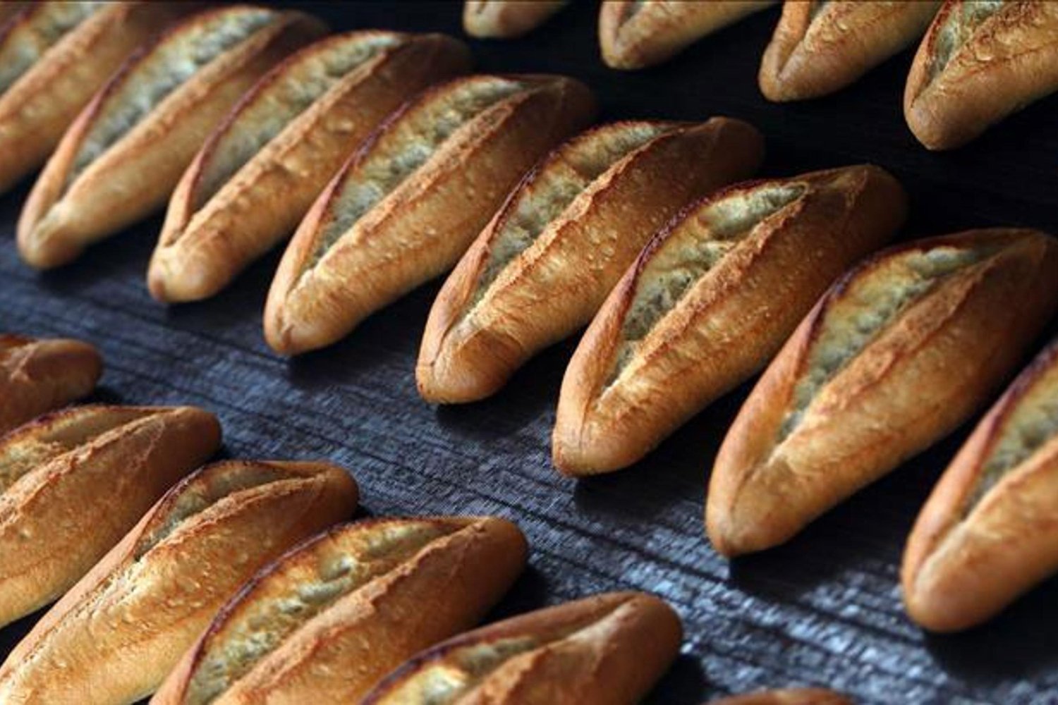 Ankara'da Bayat Ekmek Tartışması: Resmi Açıklama Geldi