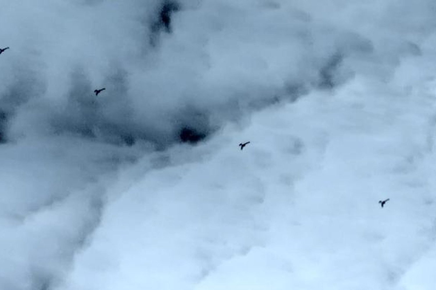 Yapay Zeka Destekli K2 Kamikaze İHA'lar Saros Testlerinden Başarıyla Döndü