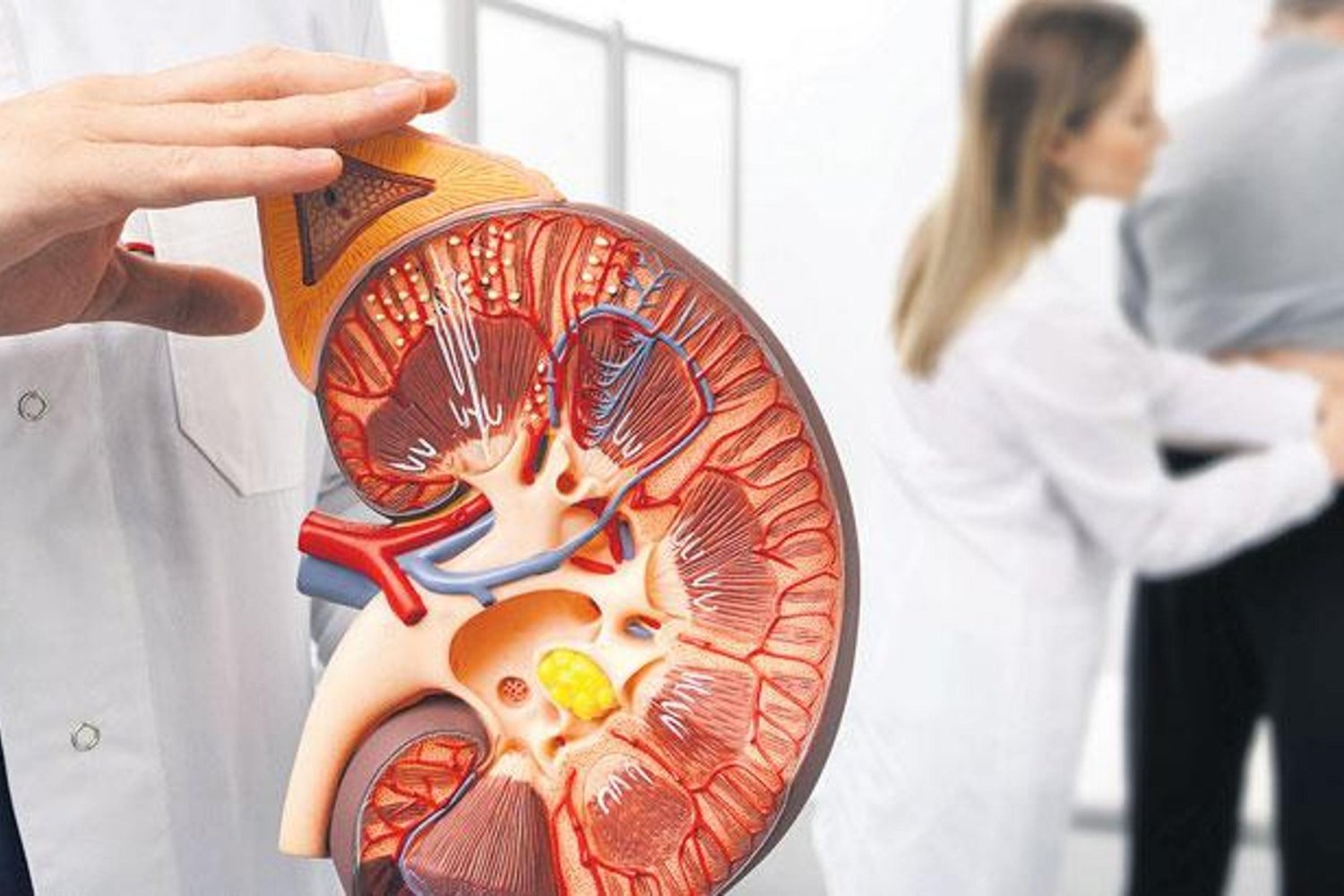 Dünyayı Kapsayan Tehlike: Böbrek Sağlığına Dikkat! Sağlıklı Böbrek İçin Altın Kurallar